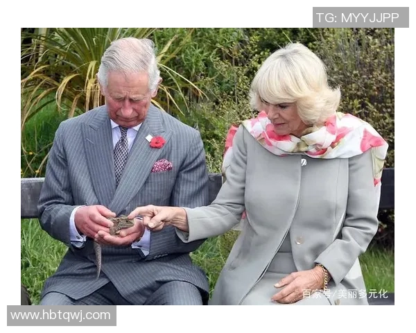 足球明星的烤瓷牙背后故事揭示了他们的美丽与自信之路